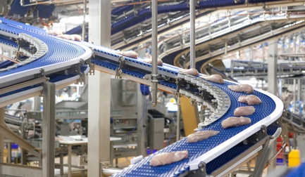 EnduraBelt全方位满足禽类运输需求