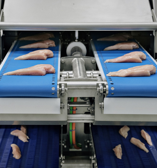 I-Cut 122 TrimSort portion cutter outfeed