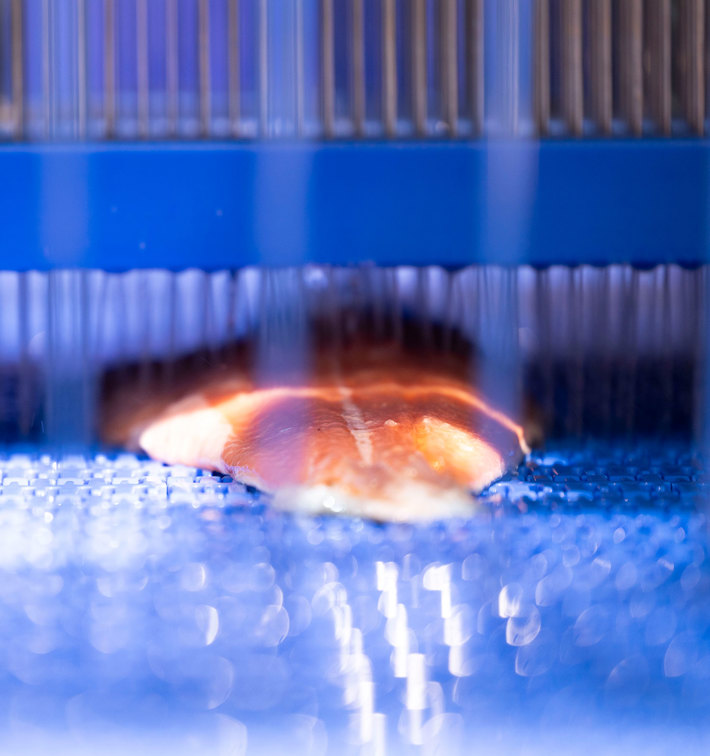 Salmon Injections Schroder IMAX 430