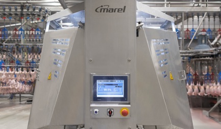 “体验非常棒”