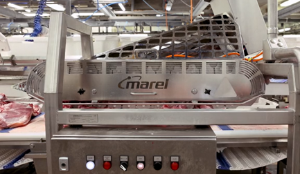 Removedor del Hueso de la Paleta 