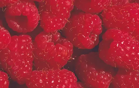 raspberries.webp