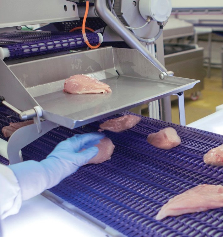 X-ray Bone detection and grading combined increases automatin and prevents food contaminants