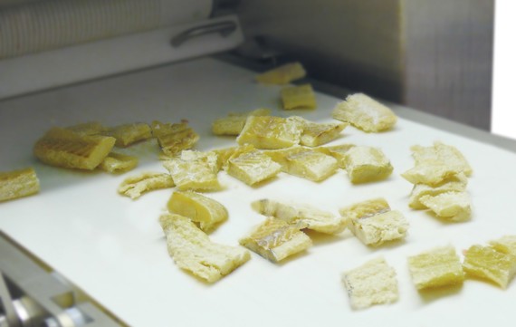 MAJA ESB 4434 SH Rundmesser-Schneidemaschine zum Portionieren von gesalzenem Dorsch/Kabeljau