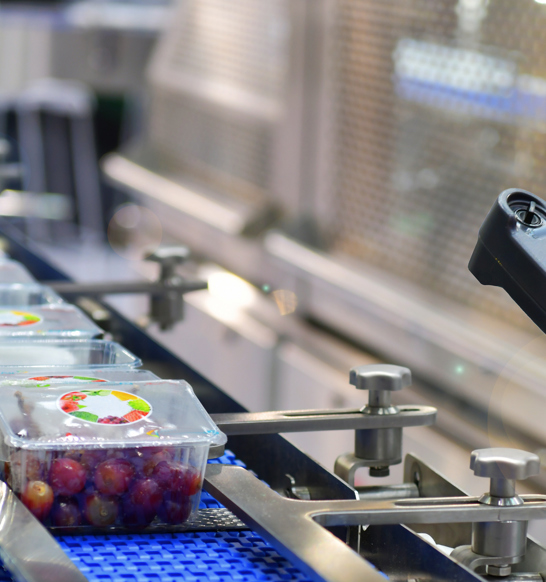 Frozen F&V Weighing