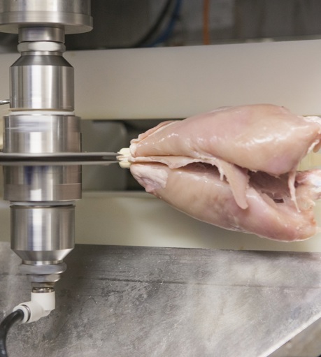 AMF I Halving Module