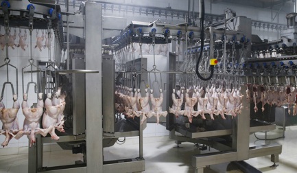 Automatisation réussie dans l'usine de Tangshan