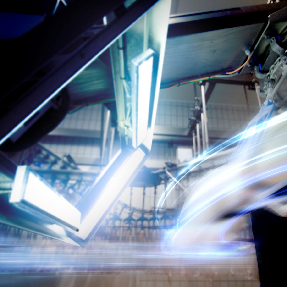 Poultry processing solutions for all processes and capacities | JBT Marel