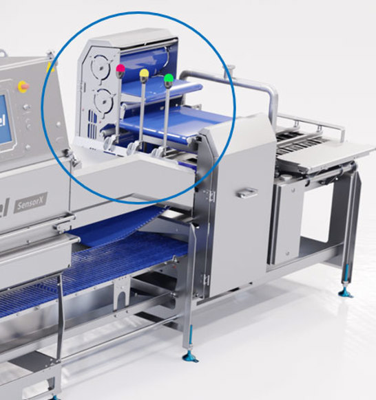 Sensorx Poultry Infeed Monitoring