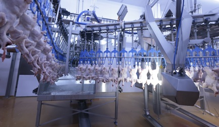 An intelligent machine is more than a touchscreen