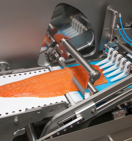 Salmon slicer equipment