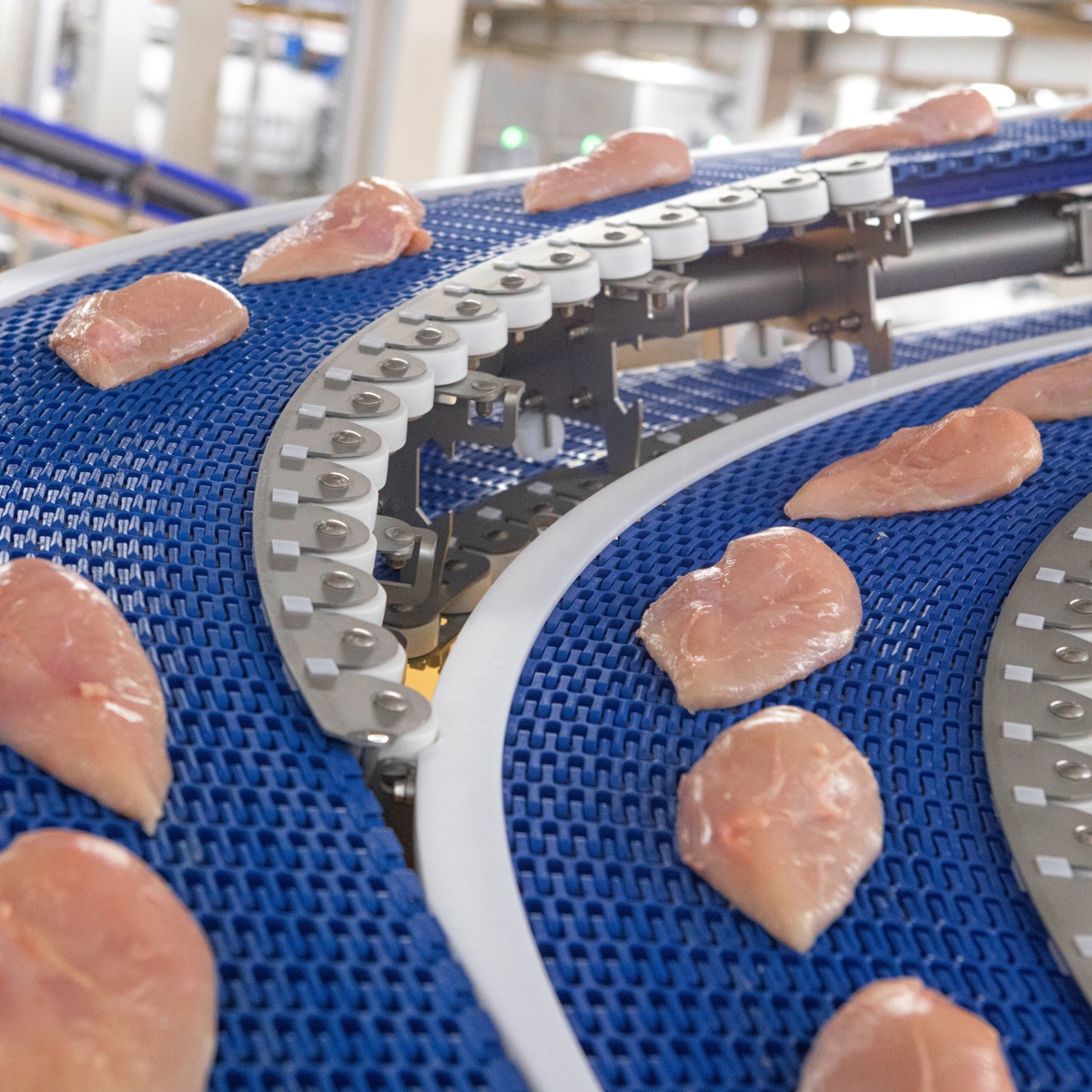 SystemFlex Conveyor System | JBT Marel