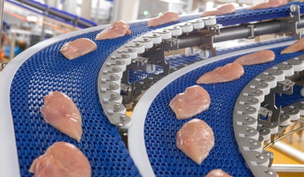 SystemFlex Conveyor System