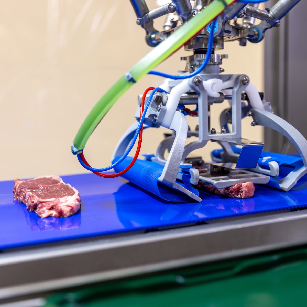 RoboPacker for Meat | JBT Marel