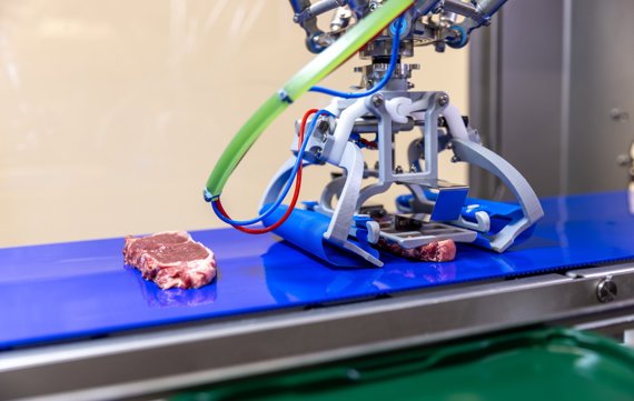 Robopacker Meatproducts6