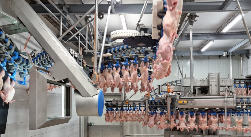 IRIS Smartweigher GDR