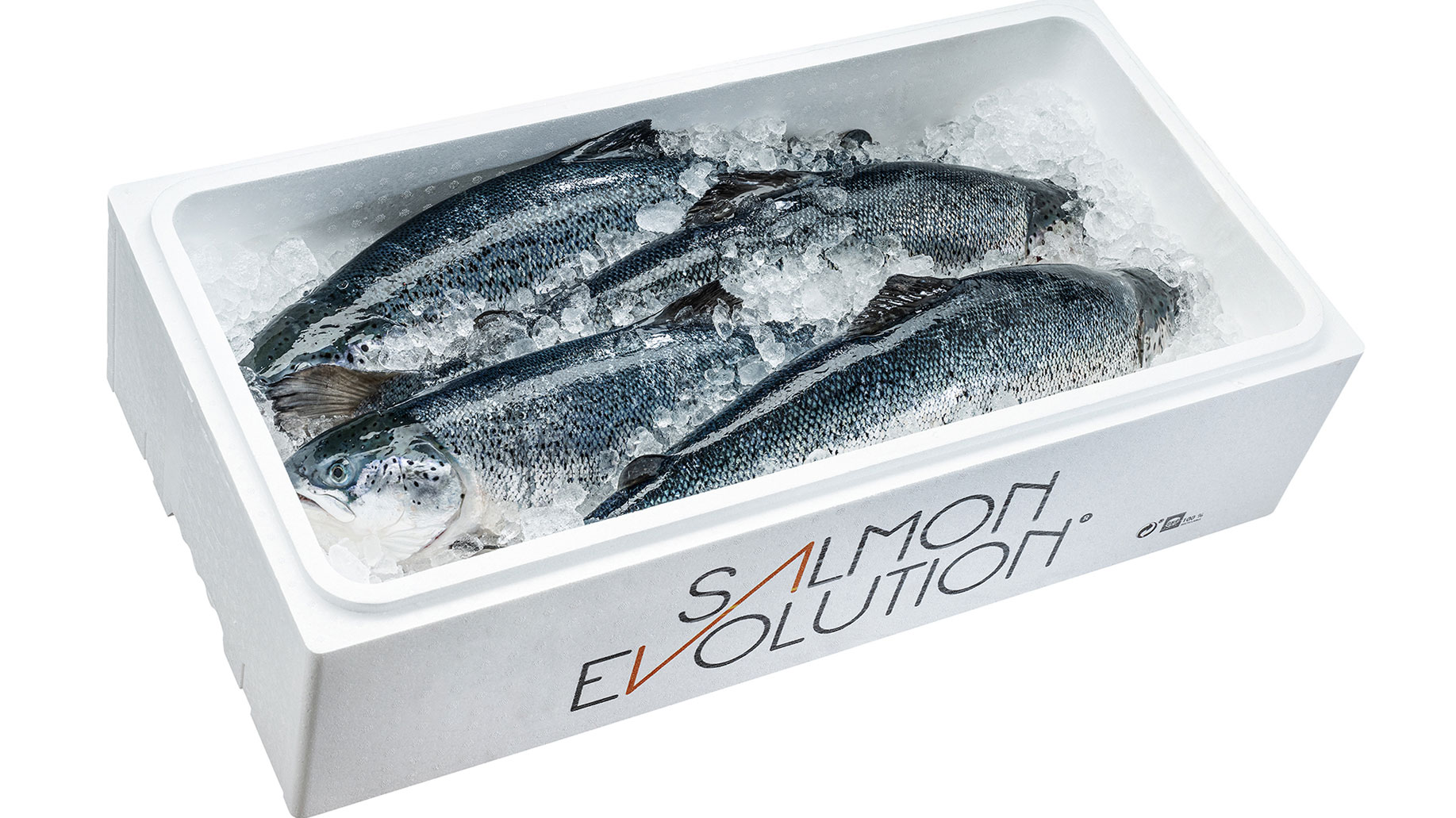 Salmon On Ice Tray