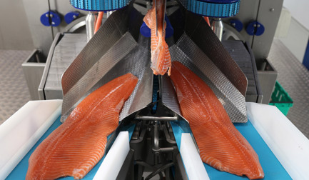 Máquina de filetagem MS 2750