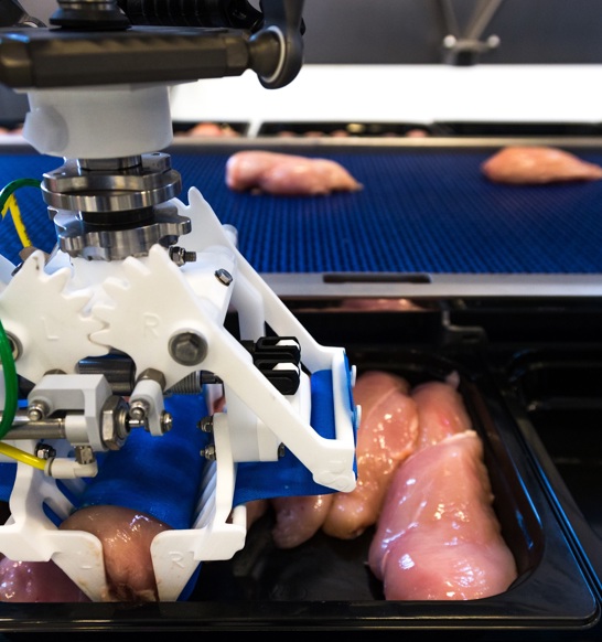 Robobatcher Fillets Gripper2400