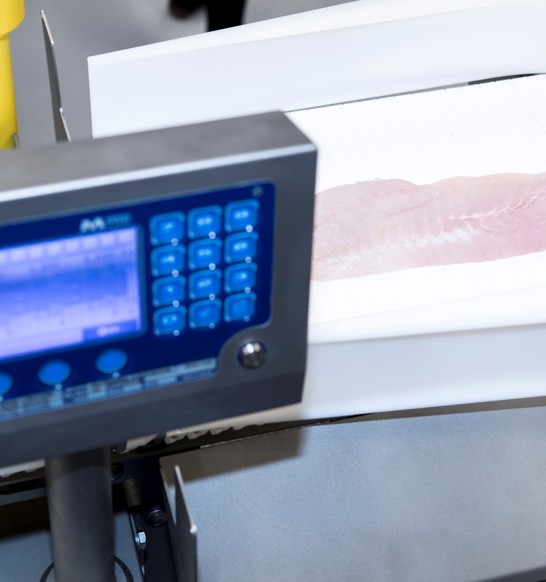 Compact Grader 2018 7