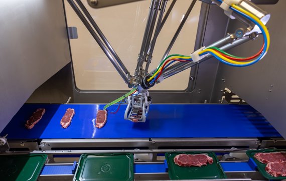 Robopacker Meatproducts2