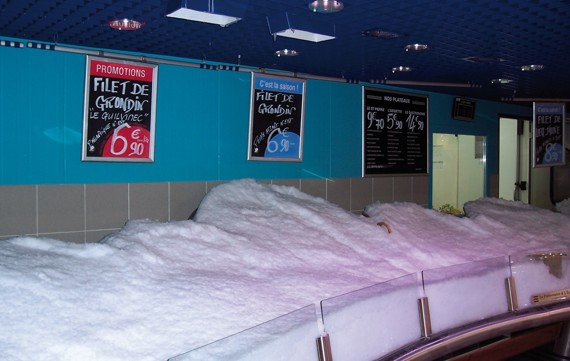 Fischtheke mit MAJA Scherbeneis