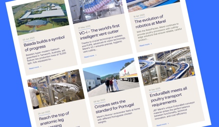 Top-10 poultry articles in 2025