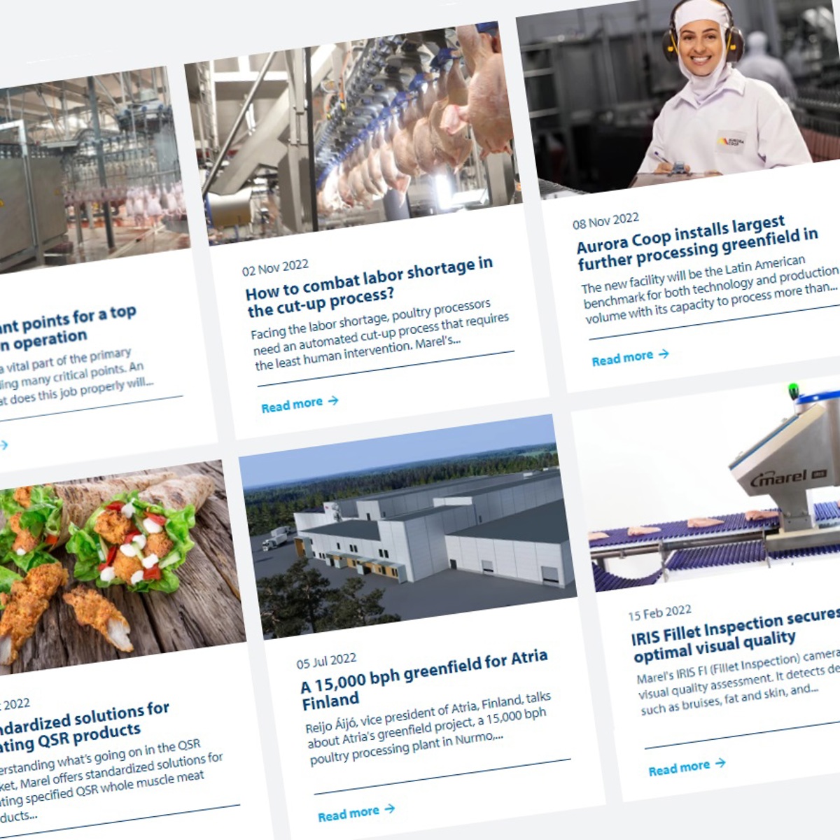 The favorite 10 poultry processing articles of 2022 | JBT Marel