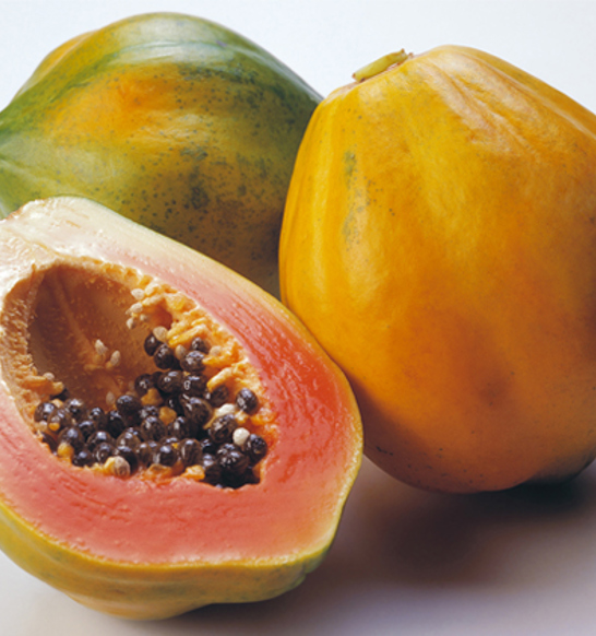 JBT-FPT-papaya-767x421-1