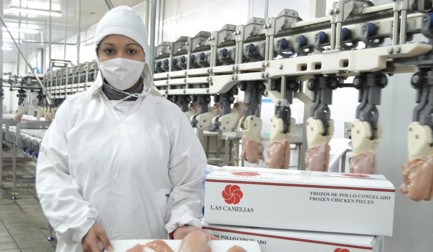 Zwei Märkte gleichzeitig bedienen