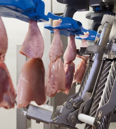 P80 Thigh Fillet System Deskinner