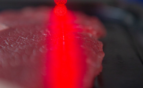 Meat Qc Quality Control Scan