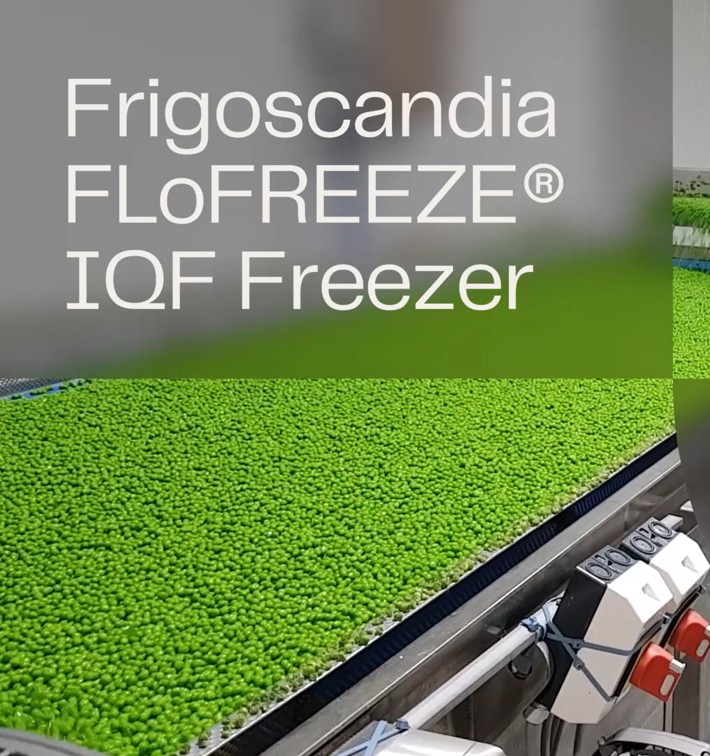 Frigoscandia Flofreeze IQF Freezer Thumbnail Video