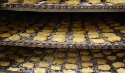 Cocção / Cozimento