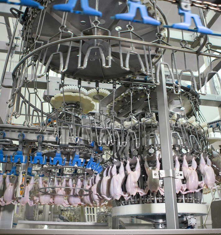 Volaille Linelink EC