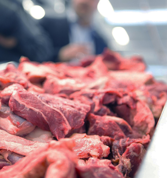 Marel SensorX X-ray meat inspection system for better bone detection and CL fat analysis