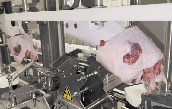 FHF D Tendon Cutter2