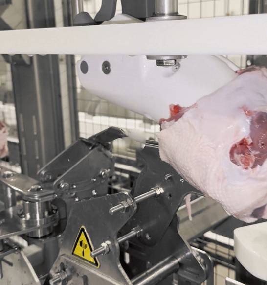 FHF D Tendon Cutter2