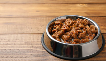 Exceeding wet pet food expectations with smarter processing
