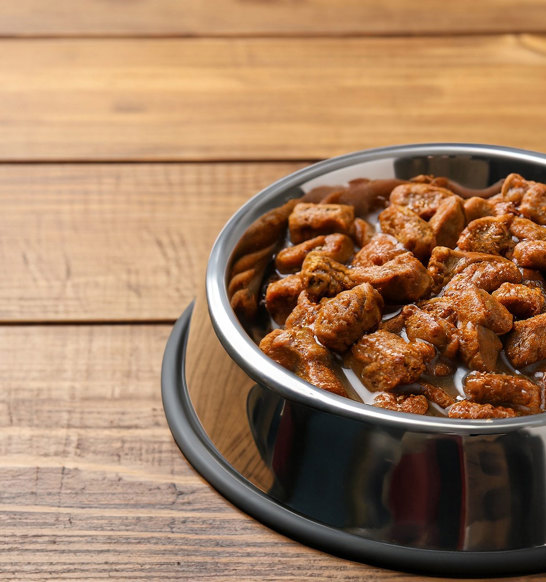 Wet Pet Food End Product