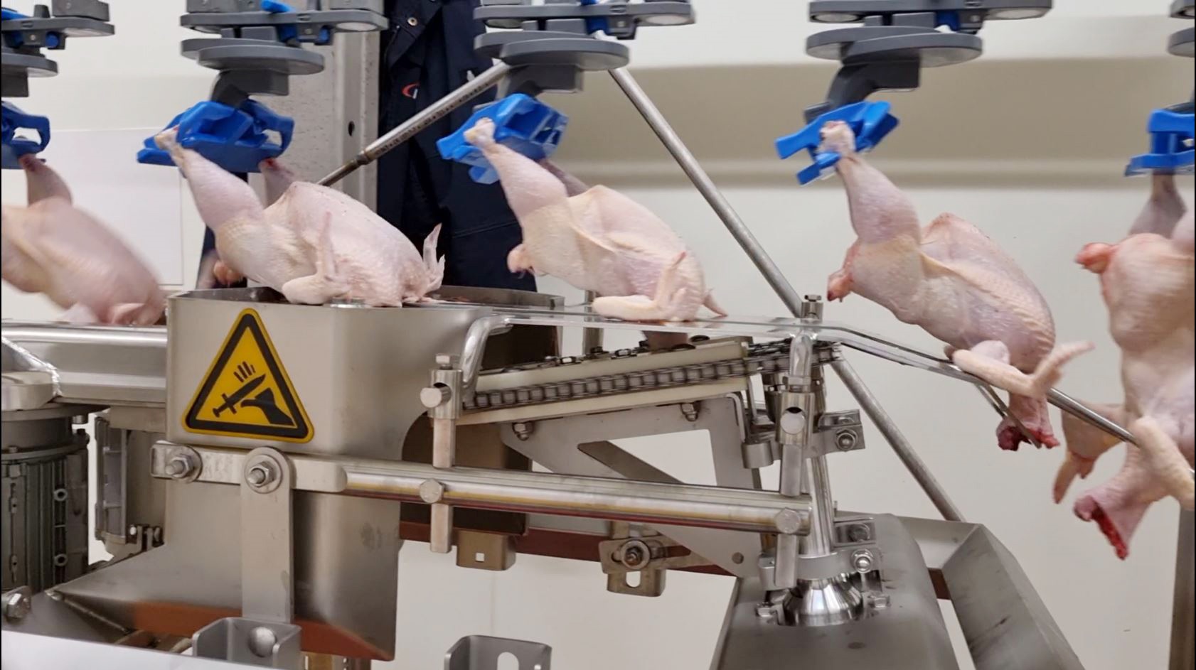 Acm NT Neck Cutter HY Machine