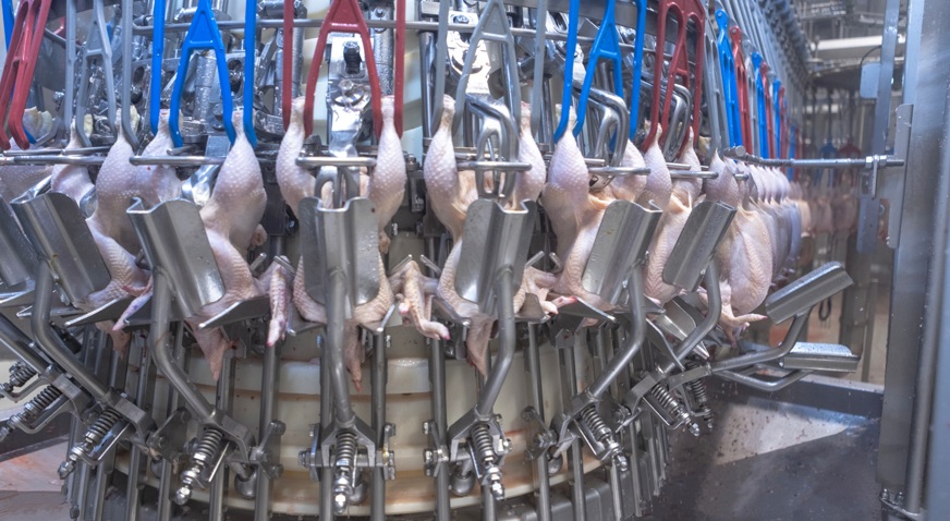 Nuova I Units Rood Blauw