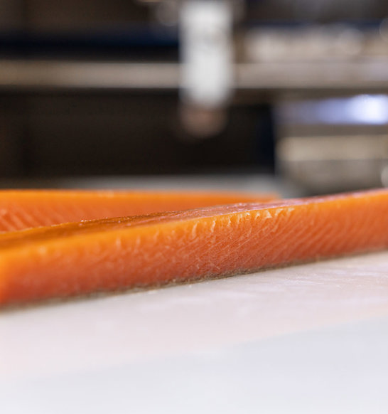 Flexicut Smoked Salmon