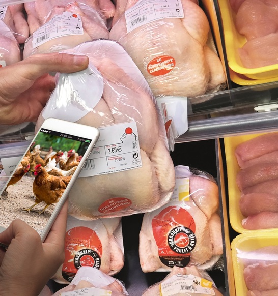 Traceability Supermarket Chicken