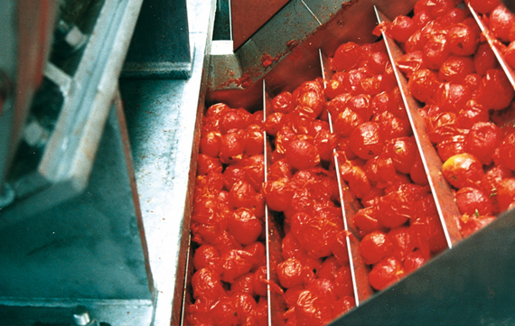 JBT-Saturno-Peeler-767x421-B