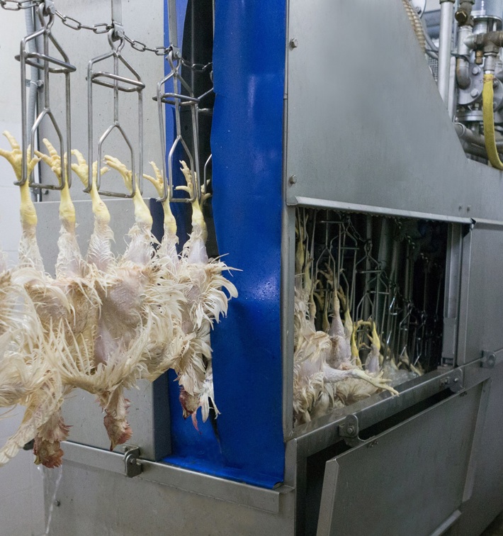 How to process poultry with limited water and energy availability | JBT ...