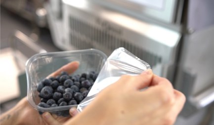 Proseal and Berry Gardens: lasting support through changing times
