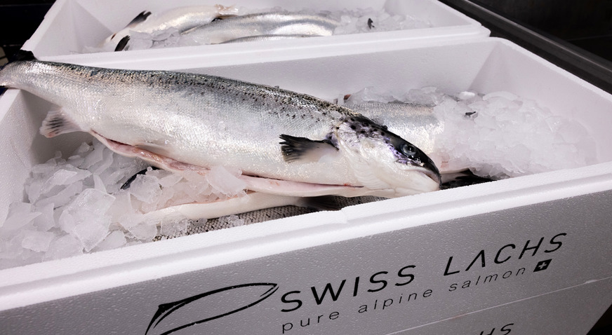 Swiss Lachs Salmon In Box