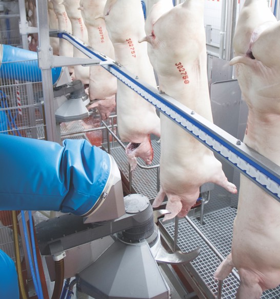 M-Line Neck Cutter (MNC)