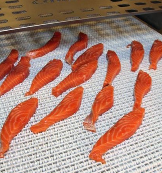 Stripcutter Salmon Strips